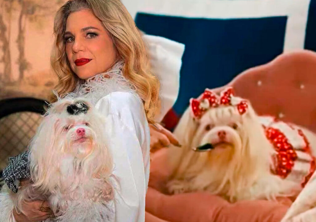 Pilar, de Quem Ama Cuida, oferece caviar para cachorrinha e cena levanta dúvida entre tutores Pilar da Caviar para cachorrinha em cena de Quem Ama Cuida